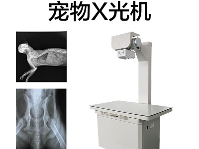 宠物X光机 固定式兽用DR 动物X光拍片机 可拍猫狗类小型宠物图2