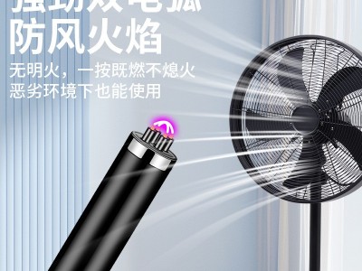 双电弧脉冲USB充电烧烤防风安全点火枪图3