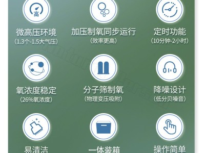 富氧森林房型家用高压氧舱1-2人硬体微压氧舱健康理疗舱 工厂直销图3