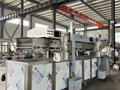 大豆拉丝蛋白高温油炸机 豆制品脱水油炸脱油生产线 电加热油炸机图3