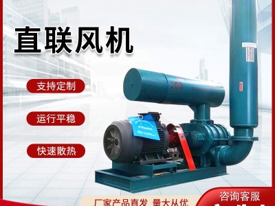 厂家生产直联罗茨风机 气力输送污水处理鱼塘增氧直联式风机图3