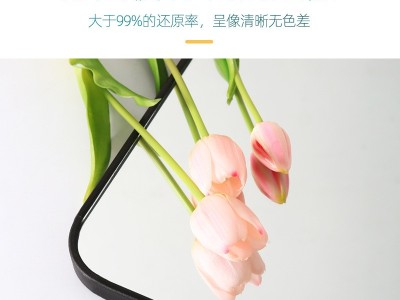 全身镜穿衣镜厂家批发大尺寸ins圆角服装店家用卧室挂墙落 地家具图4