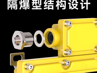 台创BYY应急通道led防爆安全出口标志灯疏散绿光指示灯牌AC220V图2