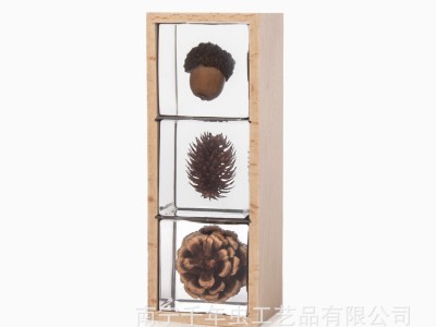 昆虫琥珀标本 植物果壳标本 9种水晶植物套装 跑江湖礼品工艺品图4