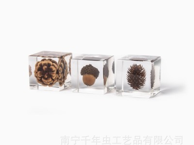 昆虫琥珀标本 植物果壳标本 9种水晶植物套装 跑江湖礼品工艺品图3