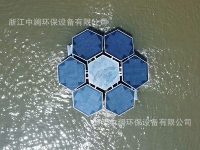 太阳能水循环复氧控藻设备 太阳能曝气机 工厂直销图4