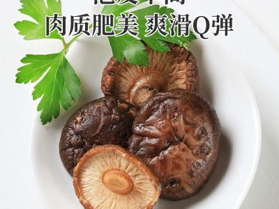 菌菇批发庆元香菇冬菇干货批发厚菇农家新鲜干香菇蘑菇金钱菇图4
