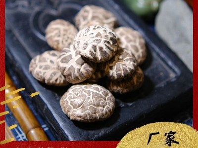 定制剪脚花菇庆元香菇干货冬香菇大批散装小包装干香菇统白花菇图2