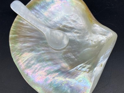 天然贝壳制作餐盘勺子套装 金蝶贝餐盘 珍珠蚌壳勺子 鱼子酱餐具图2