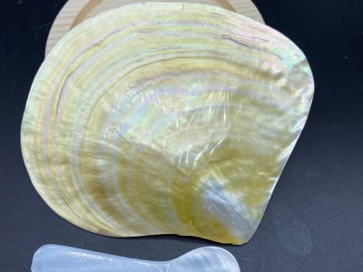 天然贝壳制作餐盘勺子套装 金蝶贝餐盘 珍珠蚌壳勺子 鱼子酱餐具图4