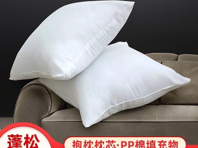 靠枕靠垫批发家用酒店正方形沙发PP棉枕芯抱枕芯坐垫腰靠包芯现货图2