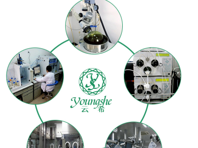 寡肽-78（sh-oligopeptide-78)图4