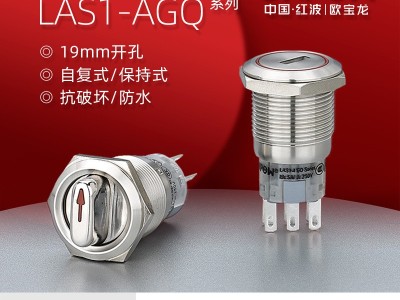 欧宝龙ONPOW中国红波制造19mm金属两档三位钥匙旋钮开关LAS1-AGQ图2