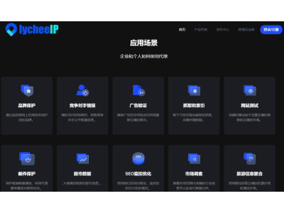 lycheeip-稳定安全独享的全球代理IP服务图4